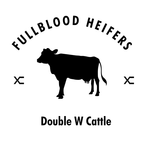 Heifers For Sale